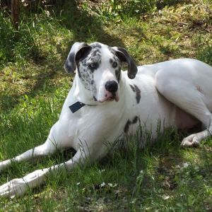 Meet your Posher, Annie